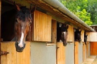 free Stoke Common stable construction quotes